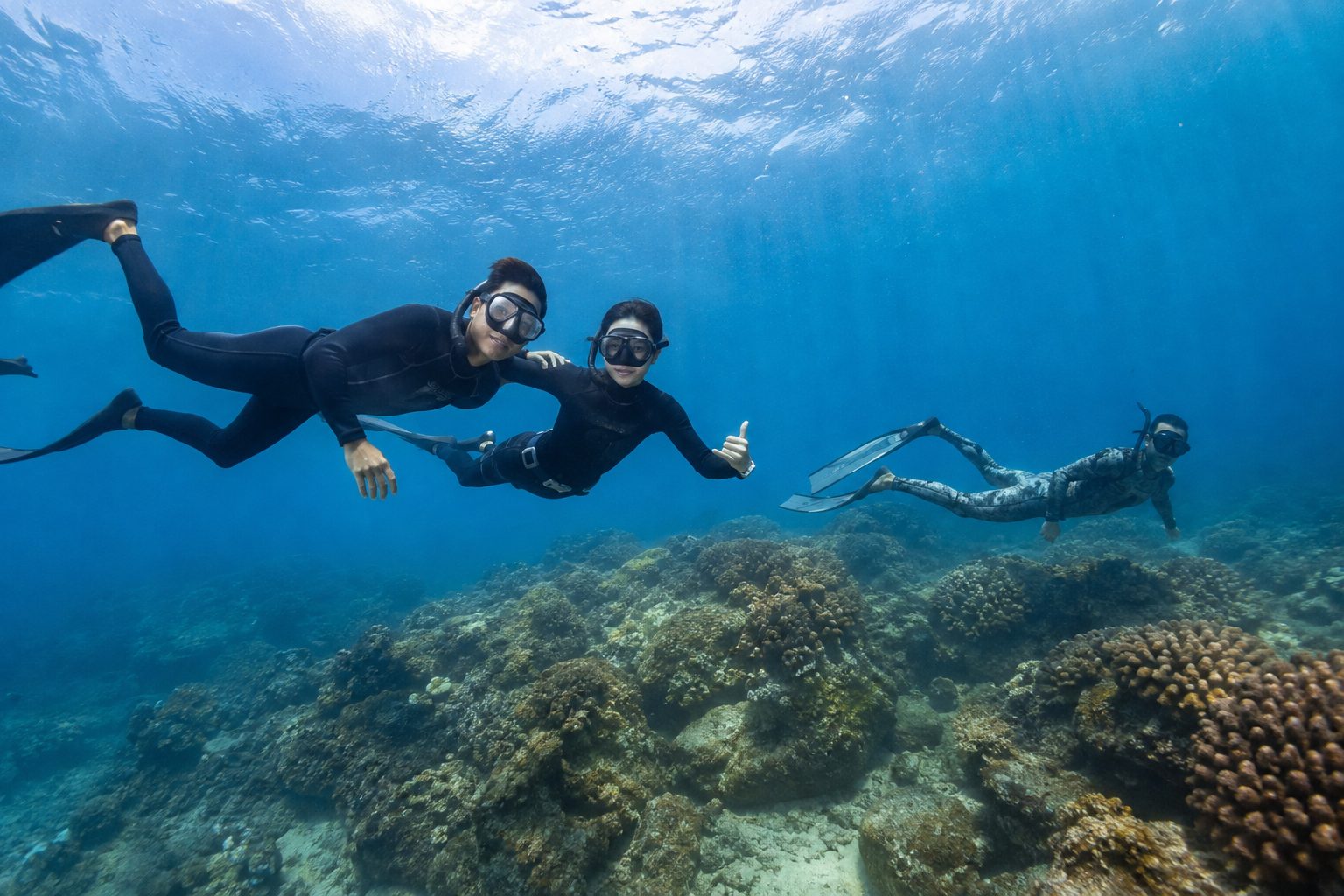 Illustrative scene of certified freediving buddies exploring a tropical reef