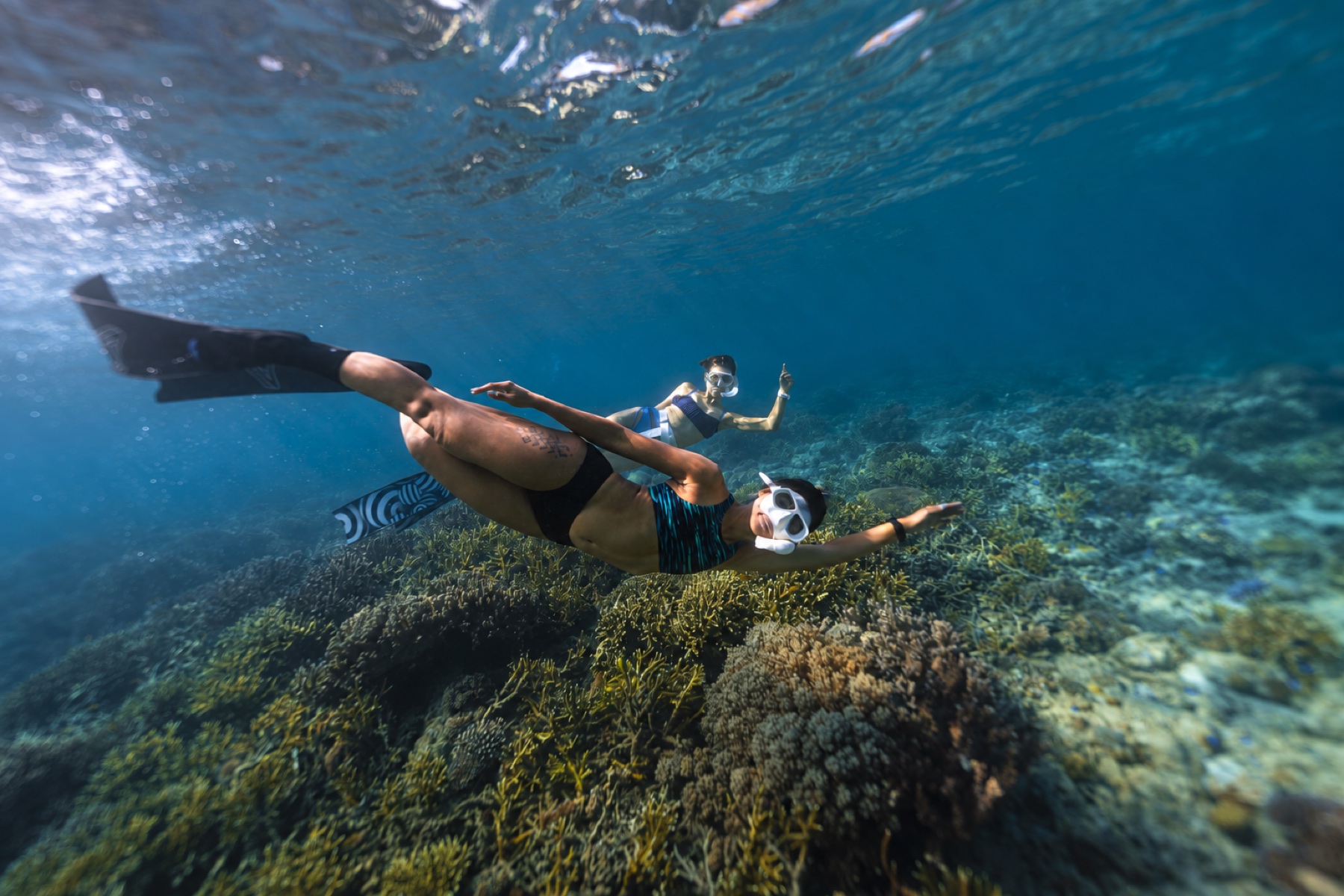 Two freedivers gliding together above a coral reef